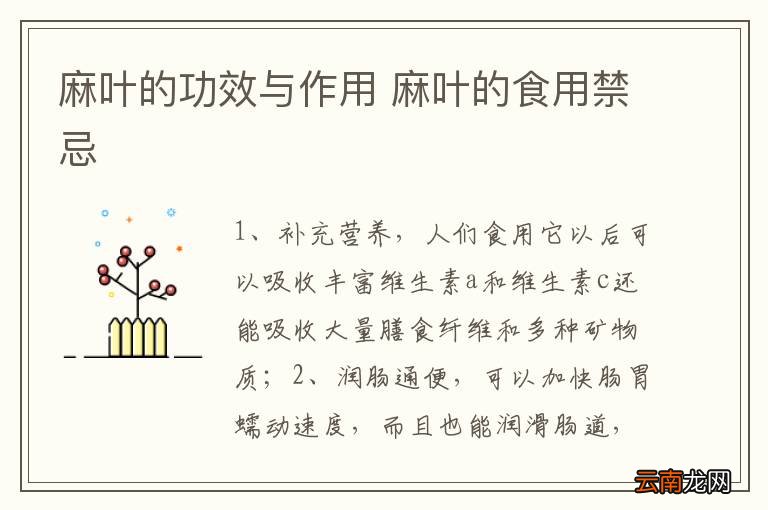 麻叶的功效与作用 麻叶的食用禁忌