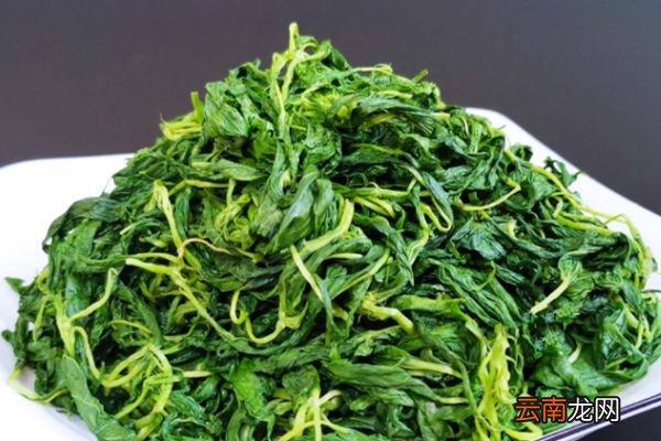 麻叶的功效与作用 麻叶的食用禁忌