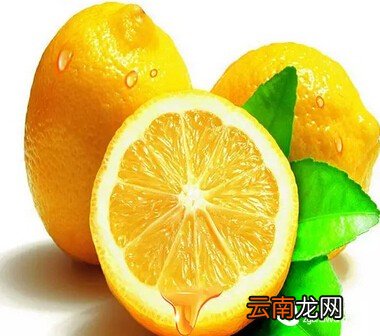 为什么喝柠檬绿茶？这个理由你必须知道！