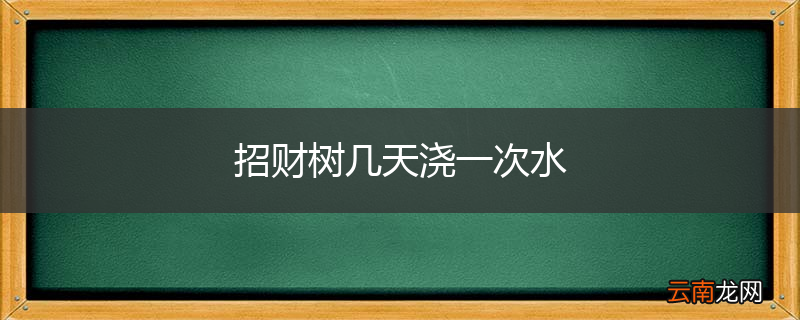 招财树几天浇一次水