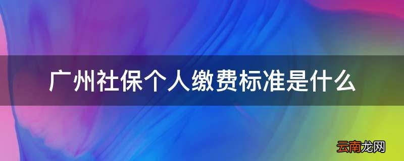 广州社保个人缴费标准是什么