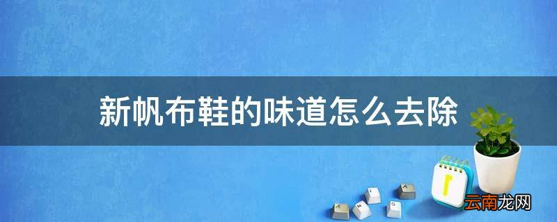 新帆布鞋的味道怎么去除