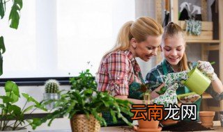 家里养花开花很多怎么回事 家里养的花开花了有什么征兆