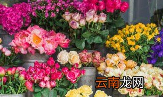 家里养花养不活怎么回事 家里养花难活怎么办
