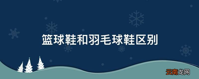 篮球鞋和羽毛球鞋区别