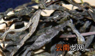 昔归古树茶有哪些特点 昔归古树茶的特点介绍