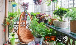家里没人养的花怎么办 家里长期没有人怎么样养花