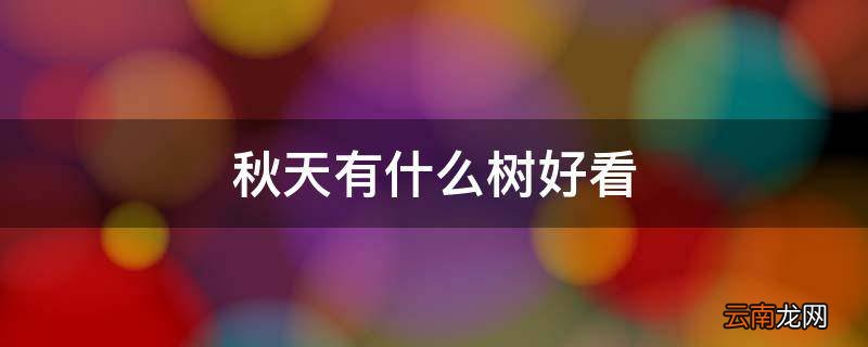 秋天有什么树好看