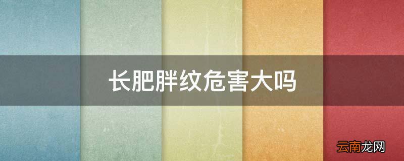 长肥胖纹危害大吗