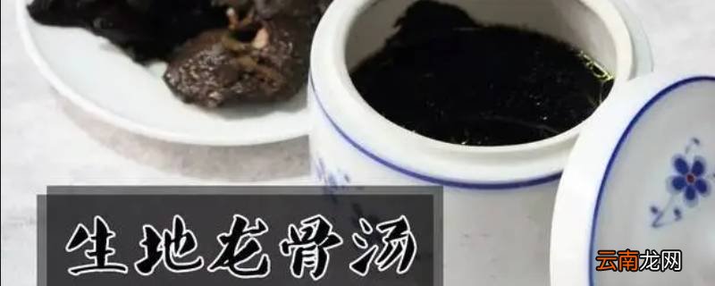 广东生地龙骨汤指的是什么动物