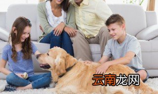 井姓名字90分以上的带水的,名字带井的名人