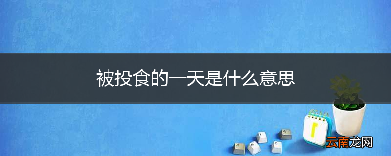 被投食的一天是什么意思
