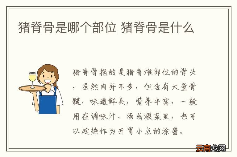 猪脊骨是哪个部位 猪脊骨是什么