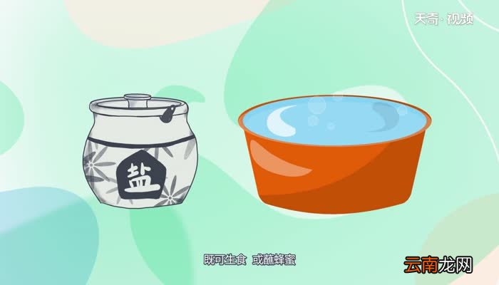 杨梅是什么季节的水果 什么季节可以吃杨梅