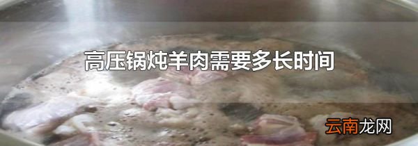 高压锅炖羊肉需要多长时间