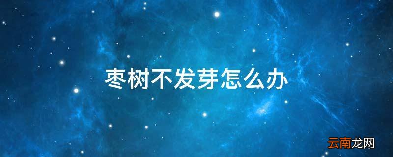 枣树不发芽怎么办