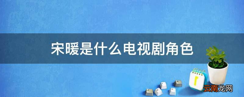 宋暖是什么电视剧角色