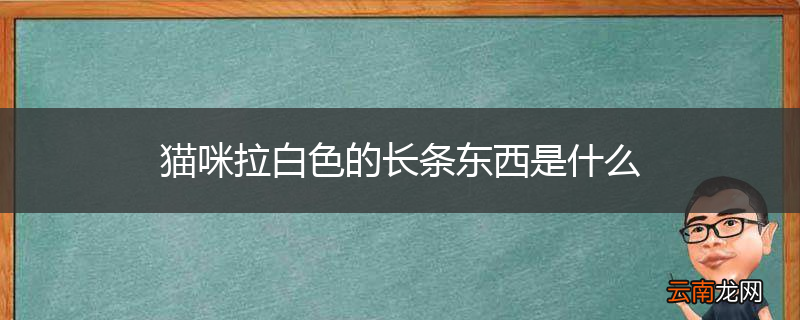 猫咪拉白色的长条东西是什么