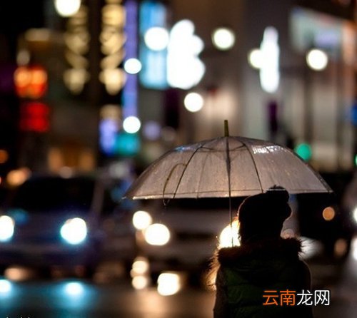 3 春季八款滋补粥 赶走身体亚健康