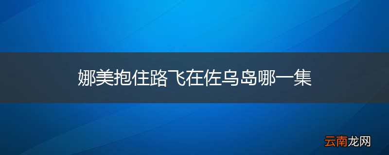 娜美抱住路飞在佐乌岛哪一集