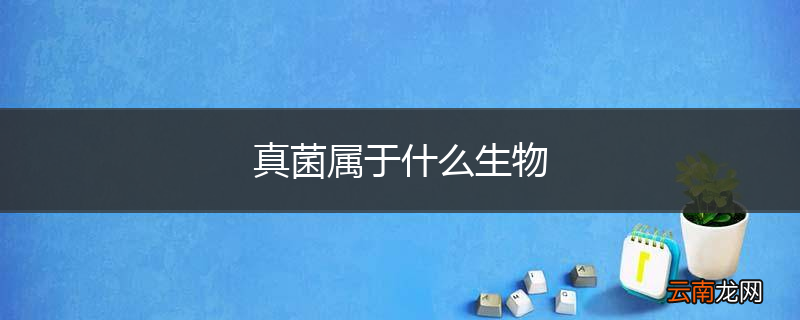 真菌属于什么生物