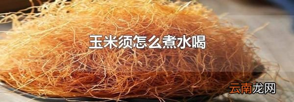 玉米须怎么煮水喝