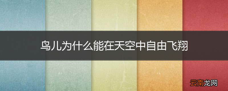 鸟儿为什么能在天空中自由飞翔