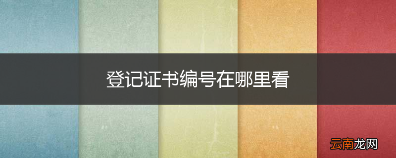 登记证书编号在哪里看