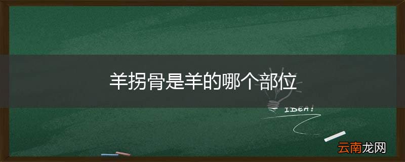 羊拐骨是羊的哪个部位