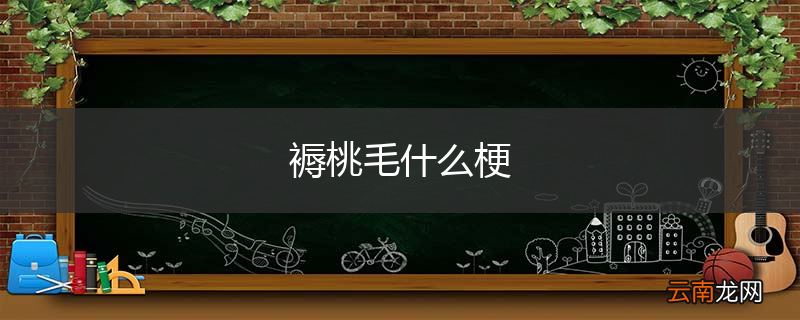褥桃毛什么梗