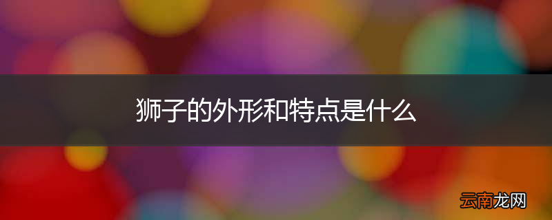 狮子的外形和特点是什么
