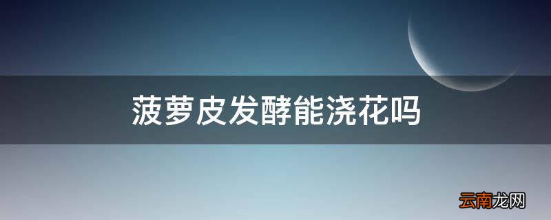 菠萝皮发酵能浇花吗