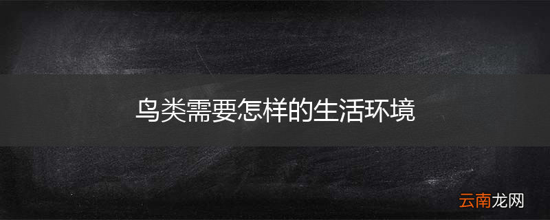 鸟类需要怎样的生活环境