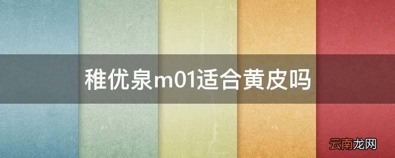 稚优泉m01适合黄皮吗