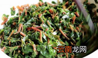 凉拌马齿苋的做法大全 在家怎么做凉拌马齿笕