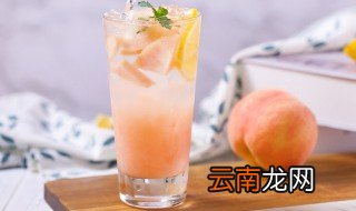 自制饮料的做法大全 在家怎么做饮料