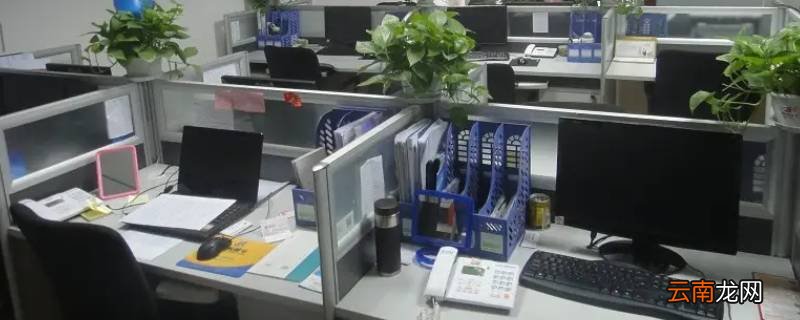 网络公司行政主任忙吗