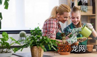 家里水碱性太大怎么浇花 家里的水碱性大怎么养花