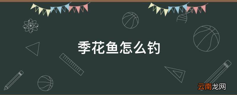 季花鱼怎么钓