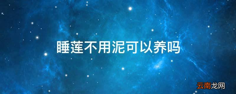 睡莲不用泥可以养吗