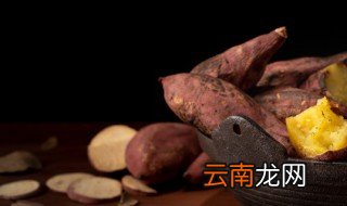 水养红薯怎么养水里放什么 红薯怎么水养