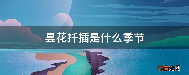 昙花扦插是什么季节