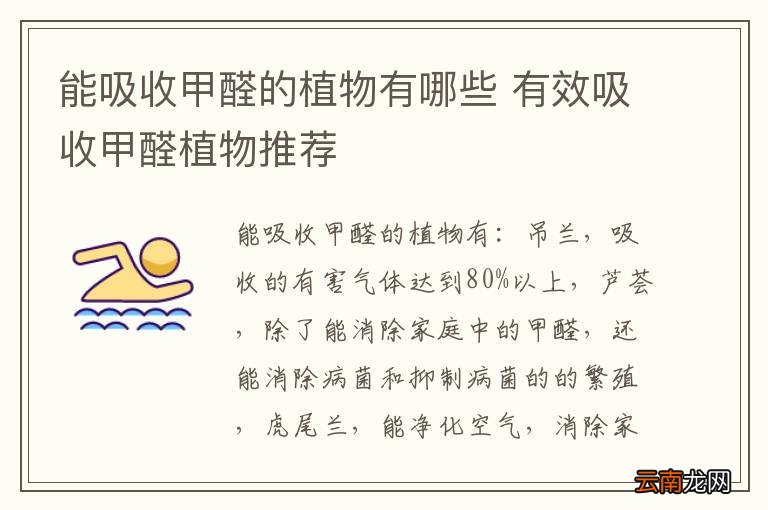 能吸收甲醛的植物有哪些 有效吸收甲醛植物推荐
