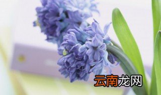 仙气古风说说 仙气的干净气质句子精选