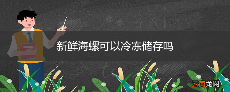 新鲜海螺可以冷冻储存吗