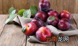 西梅和李子有区别吗 西梅是李子吗