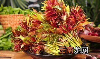 香椿蒸鸡蛋的做法 香椿蒸鸡蛋怎么做