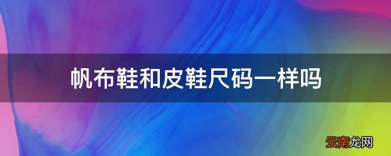 帆布鞋和皮鞋尺码一样吗