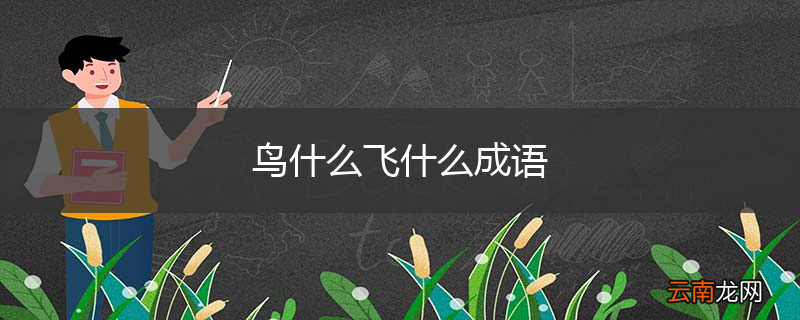 鸟什么飞什么成语
