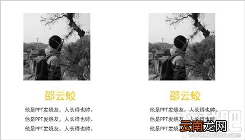 如何设计PPT图文排版，教你做出高逼格的PPT